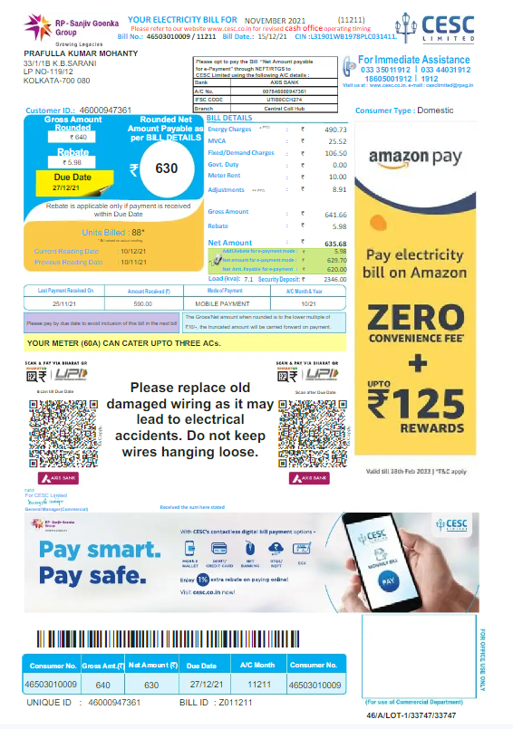 INDIA CESC LIMITED utility bill Word and PDF template, version 2